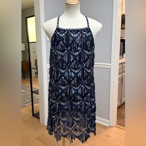 Blue and silver costume CXL